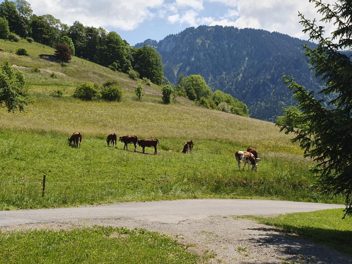 Chalet Tante Emma Вашерес Экстерьер фото